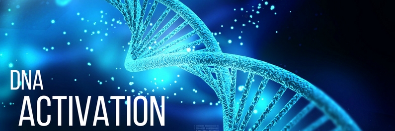 DNA upgrade from 2 to 3 to 6 to 12 strands