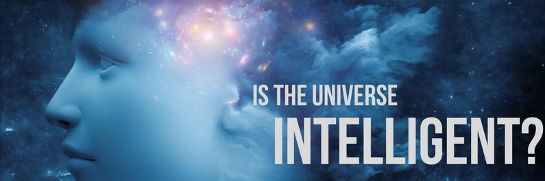 Is the Universe intelligent or not?